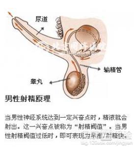 第3步